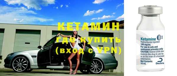 стаф Корсаков