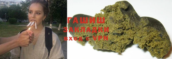 стаф Корсаков