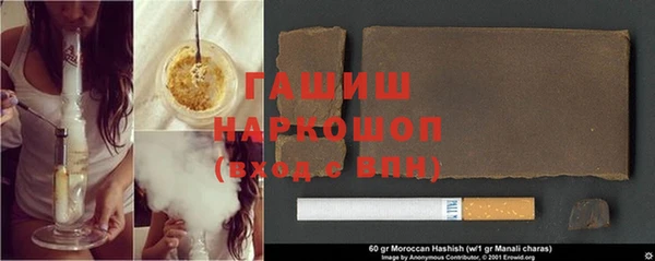 стаф Корсаков