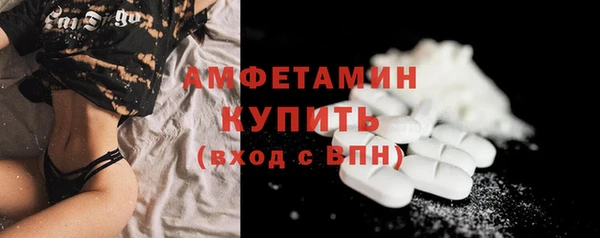 стаф Корсаков