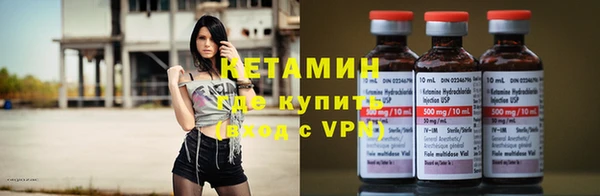 стаф Корсаков