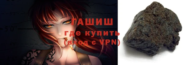 стаф Корсаков