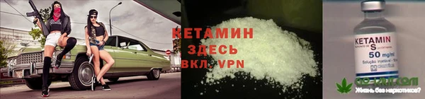 стаф Корсаков