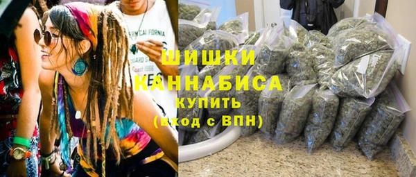 стаф Корсаков