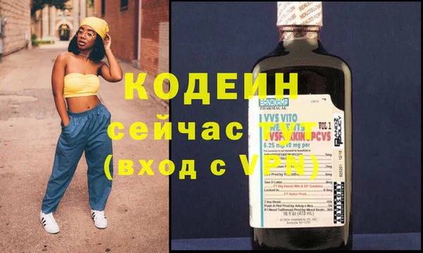 стаф Корсаков