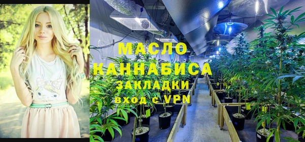 стаф Корсаков