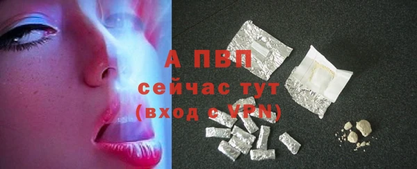 тгк Коряжма
