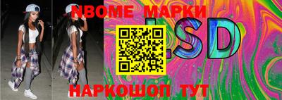 стафф Берёзовский