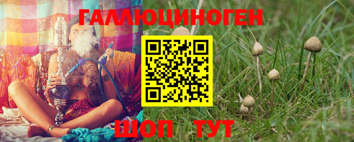 Галлюциногенные грибы Psilocybine cubensis  Галлюциногенные грибы мухоморы  наркошоп  Павловский Посад  Вход с VPN 