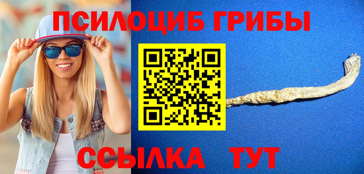 Галлюциногенные грибы MAGIC MUSHROOMS Павловский Посад