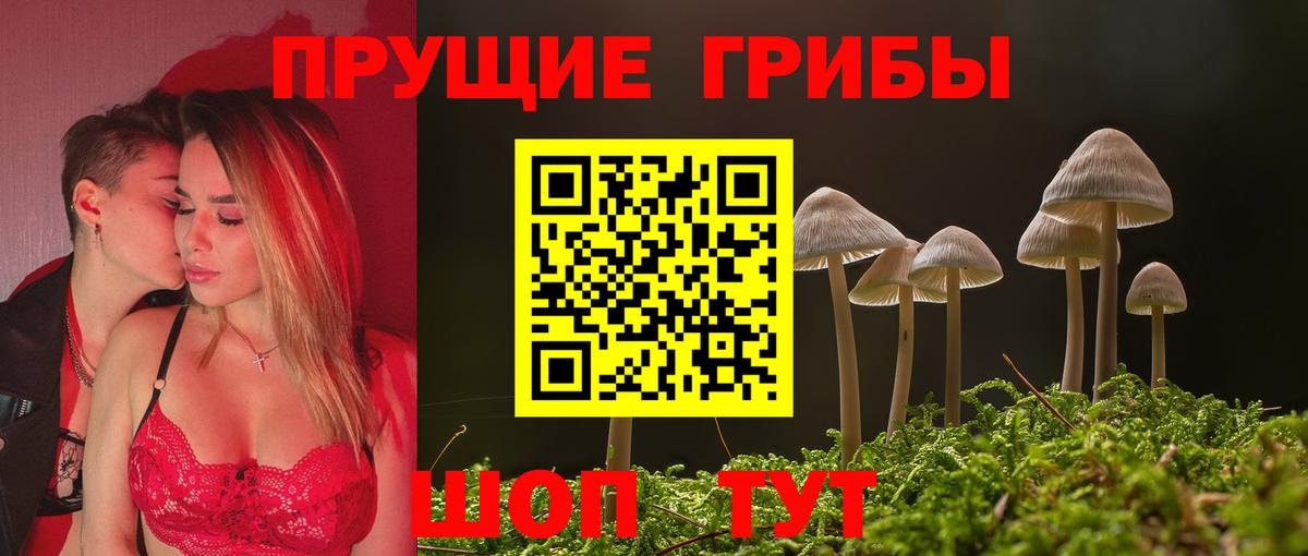 Галлюциногенные грибы мухоморы Павловский Посад